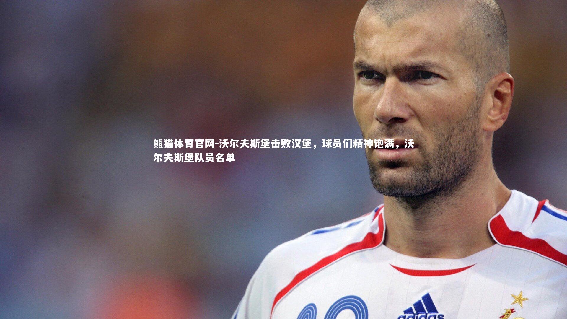 沃尔夫斯堡击败汉堡，球员们精神饱满，沃尔夫斯堡队员名单